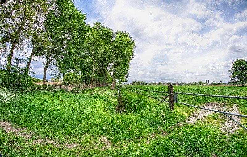 vakantie webcams Limburg