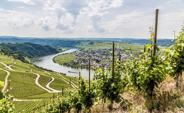 Het Eifel natuurpark is dé plek voor buitenliefhebbers