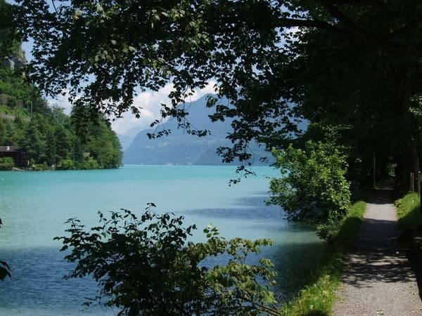 Interlaken de meest complete vakantieregio van Zwitserland