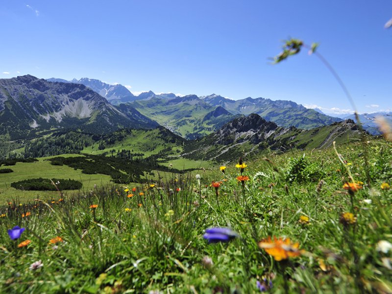 Apps Liechtenstein