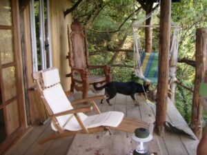 Lodge-2