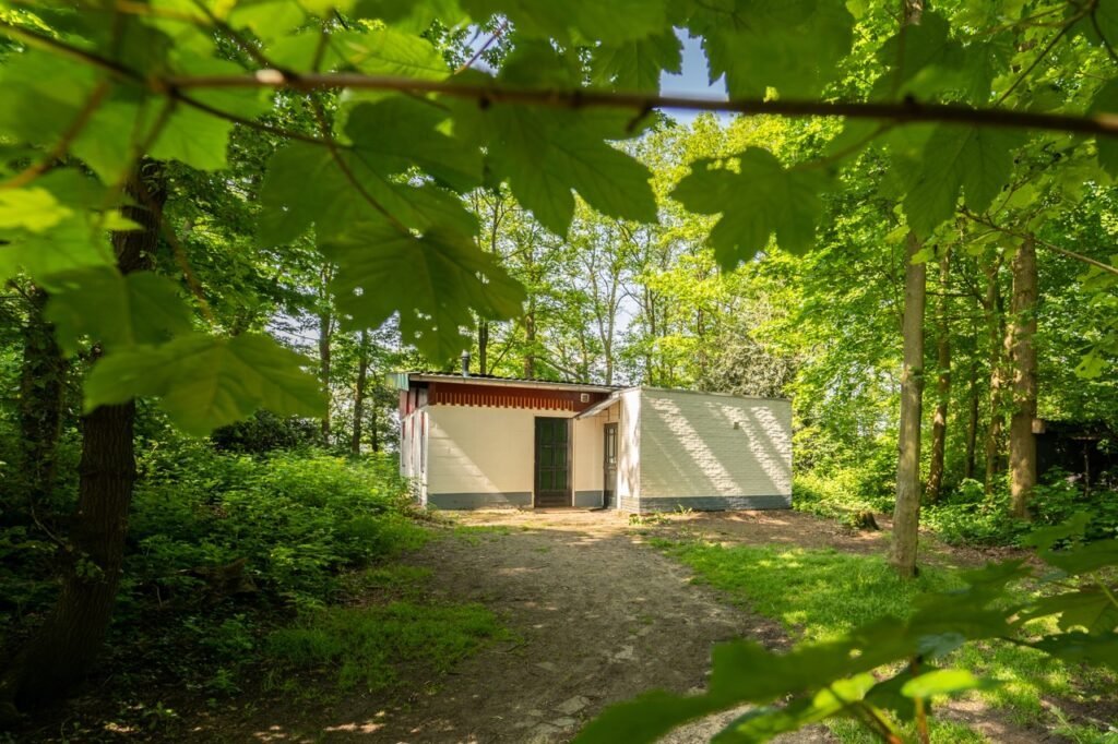 bos-buiten2-kopie-groot