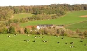 Landgoed-Karsveld