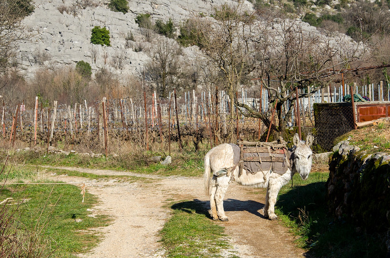 Levensstandaard Montenegro