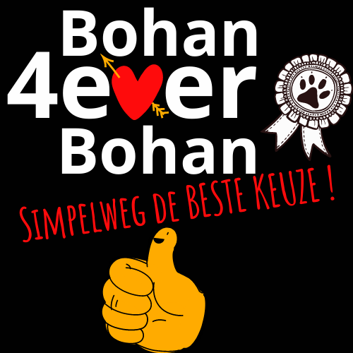 Logo-de-beste-keuze-2