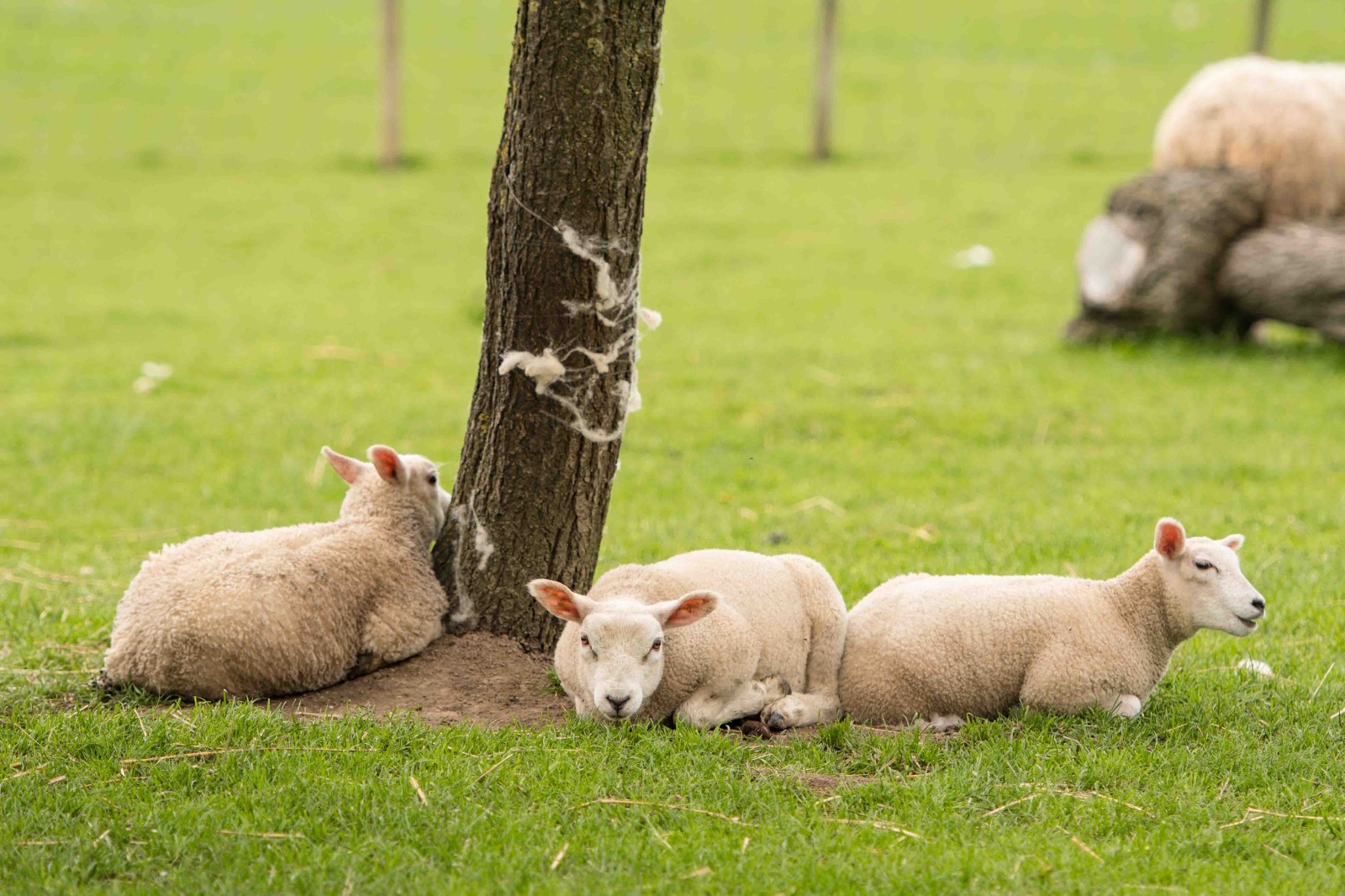 WhatsApp-Image-2025-08-28-at-00.05.12-1