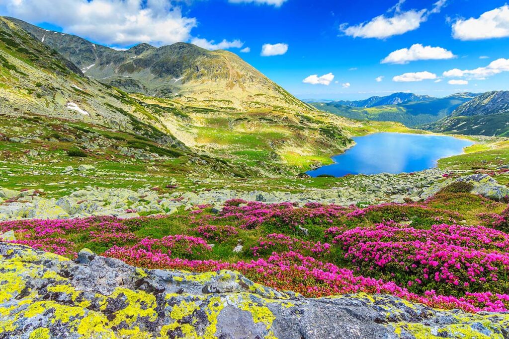 Vakantie Roemenië