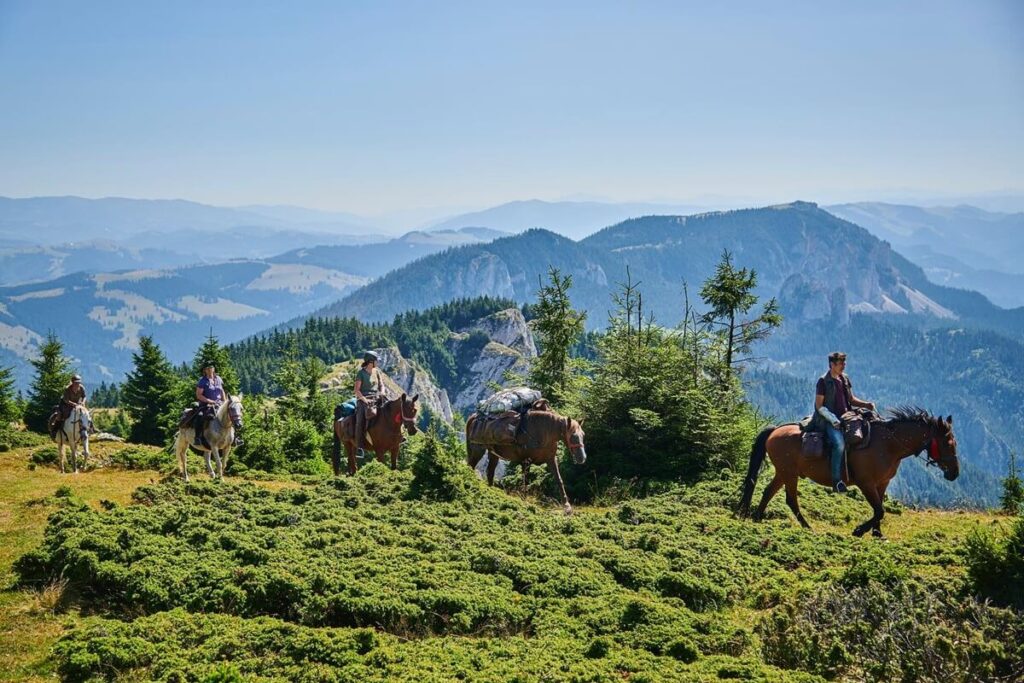 Wetenswaardigheden Roemenië