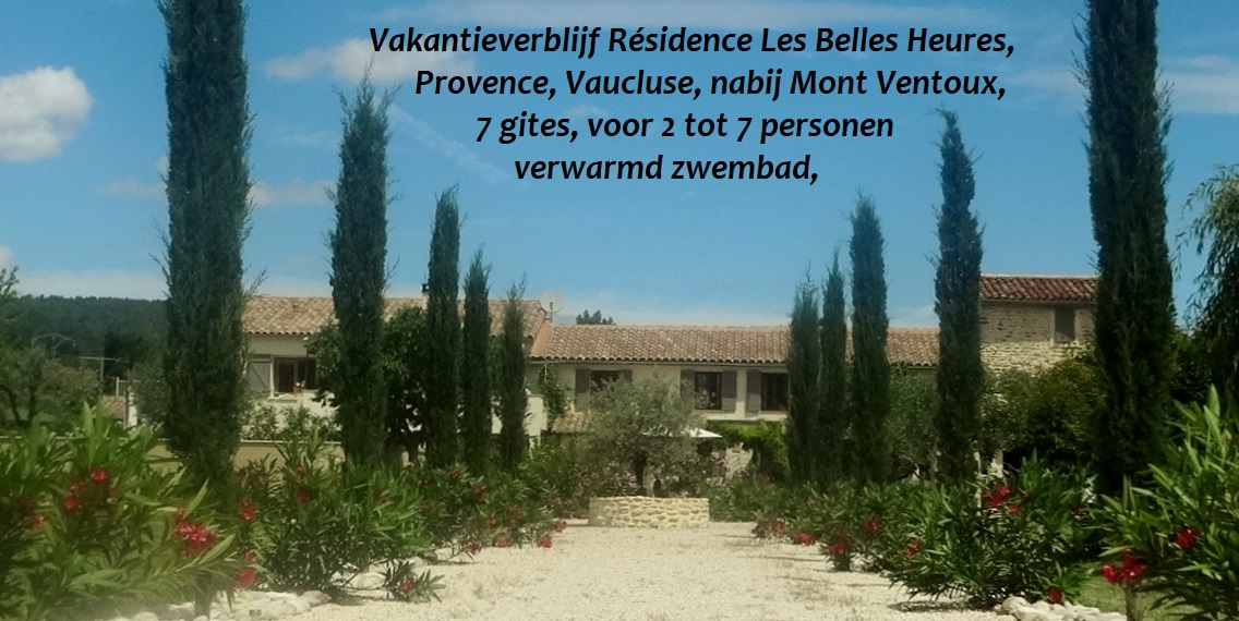 vooraanzicht-introductie-tekst-2
