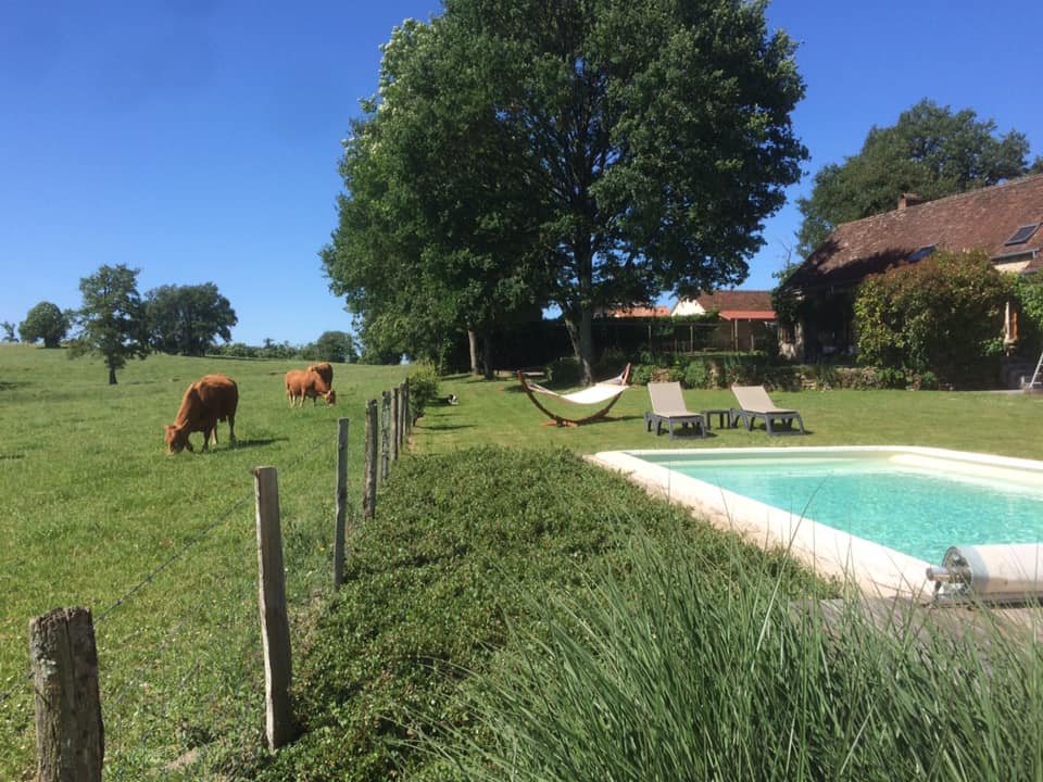 101637068_3137040583039534_1857980290786394112_n-1