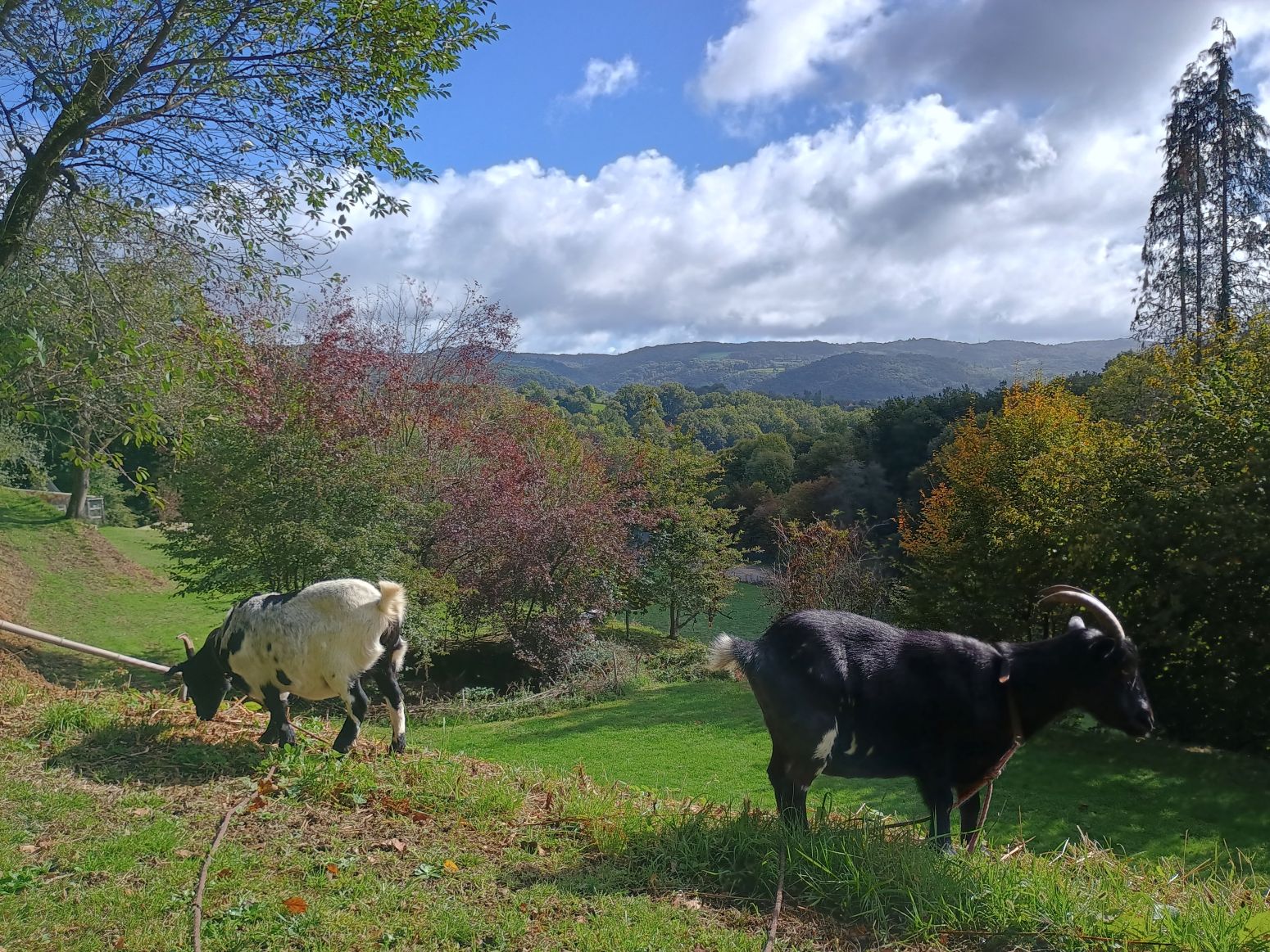 IMG_20251005_115801681klein-2