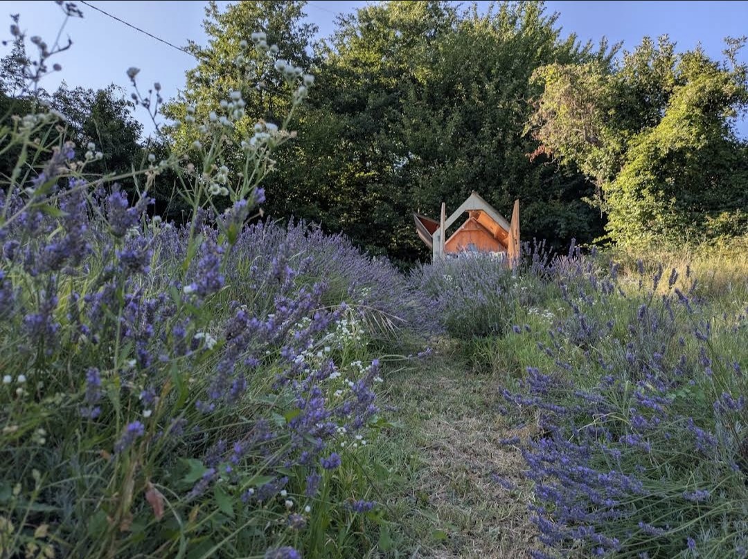 StarsBox-open-lavendel-2