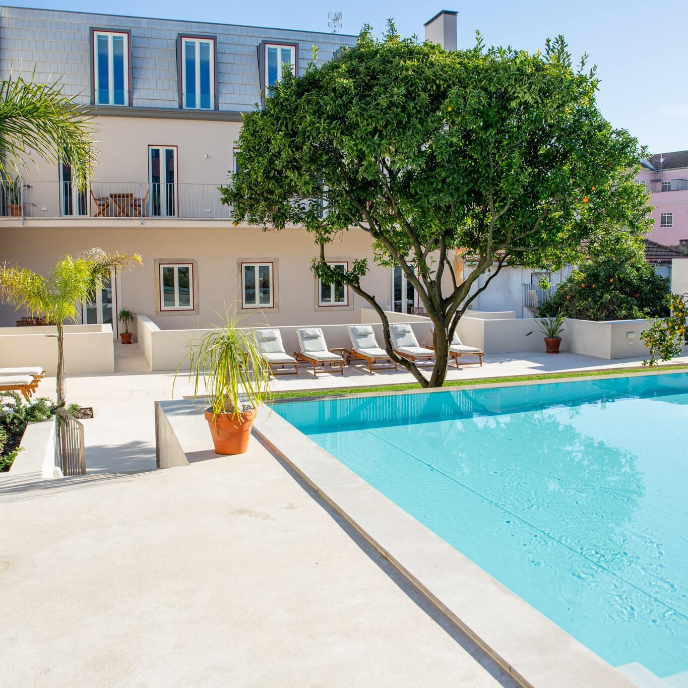 Amazing-garden-and-swimming-pool