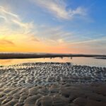 vakantiepark Puik en Duin