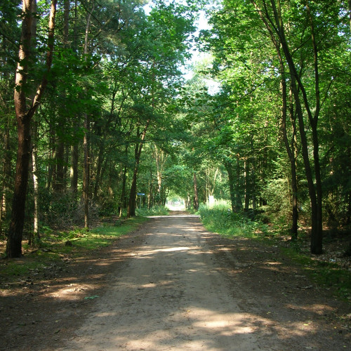 chalet het Boshuis